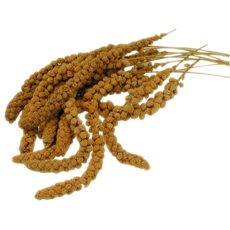 Vadigran French Millet Sprays Yellow Κλαδιά Μίλετ 25kg Χύμα