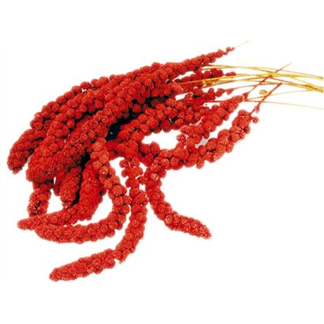 Vadigran French Red Millet Sprays Κλαδιά Μίλετ Κόκκινα 25kg Χύμα
