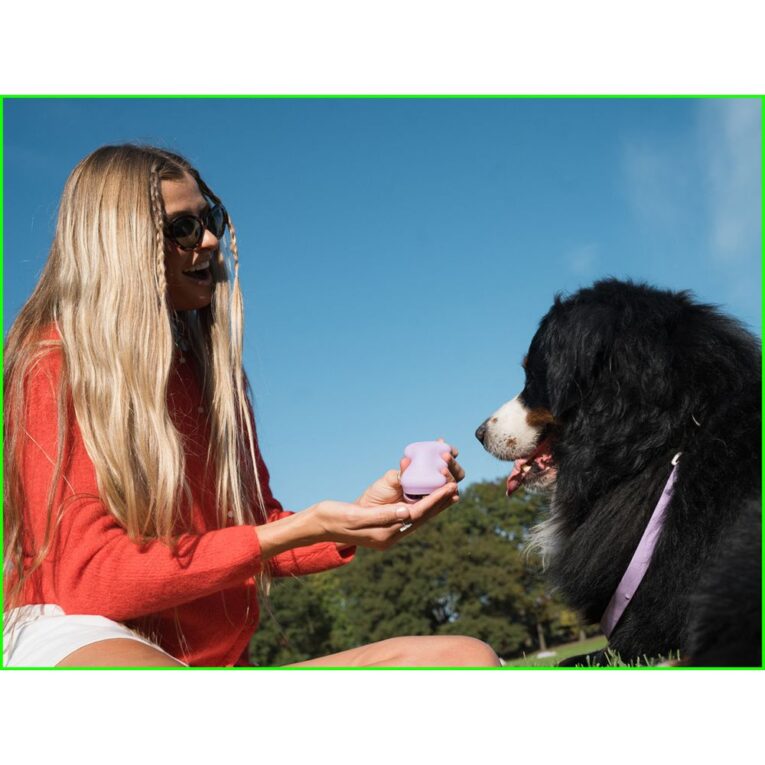 3814f076-5123-11ef-9030-00505697ce7a_850030722737.SFR1