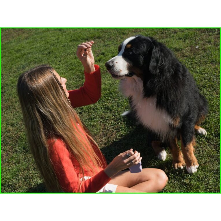 381755aa-5123-11ef-8f77-00505697ce7a_850030722737.SFR2