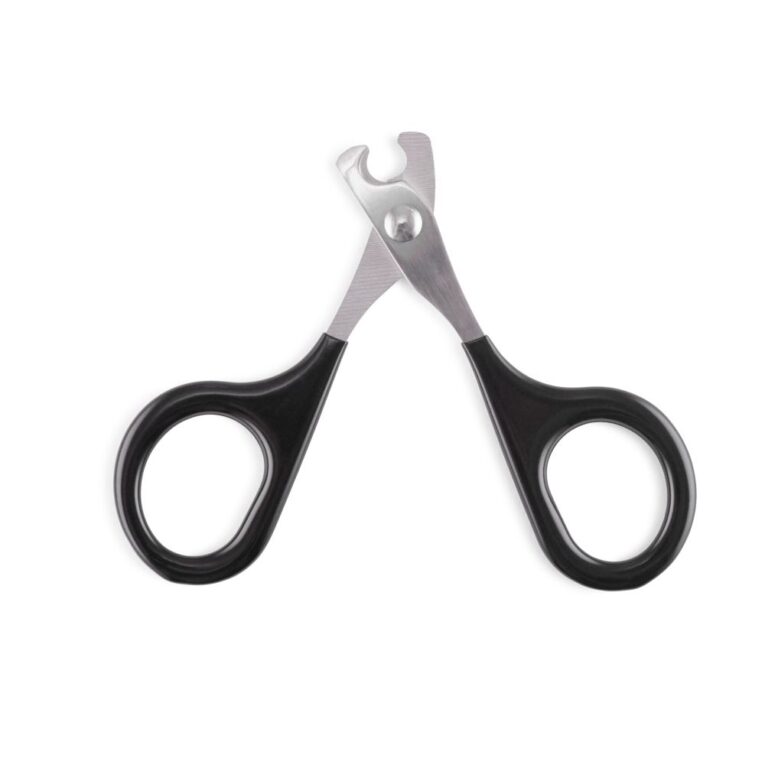 47d0b454-7366-11ea-b2f8-00505697ce7a_5411468147773.1