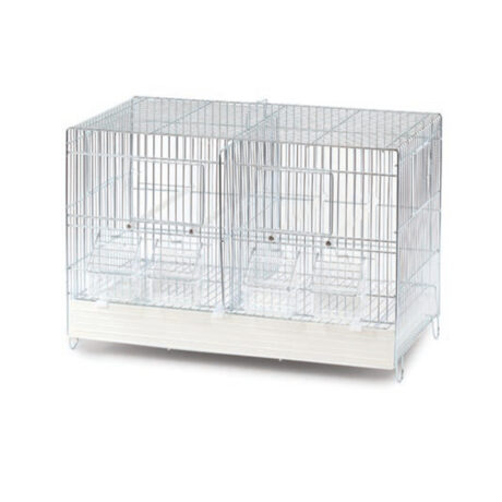 Domus Molinari Ζευγαρώστρα Πτηνών 50x27x33cm