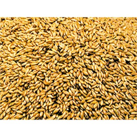 Vadigran Alpiste Seeds Σπόροι Κεχρί 1kg