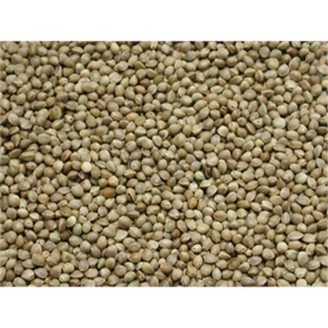 Vadigran Big Hempseed Fish Bait Σπόροι Hempseed για Δόλωμα Ψαρέματος 15kg
