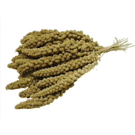 Vadigran Chinese Yellow Millet Sprays Κλαδιά Μίλετ Κίτρινα 15kg Χύμα