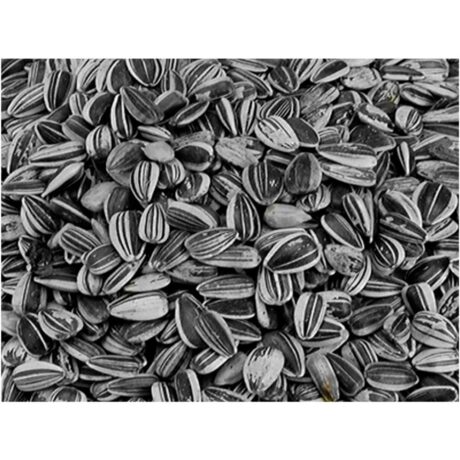 Vadigran Sunflower Seed Small Striped Σπόροι Ηλιόσπορου Μικροί Ριγέ 12kg