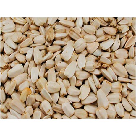 Vadigran Sunflower Seed Large White Σπόροι Ηλιόσπορου Μεγάλοι Λευκοί 10kg