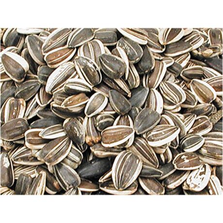 Vadigran Sunflower Seed Large Striped Σπόροι Ηλιόσπορου Μεγάλοι Ριγέ 1.8kg