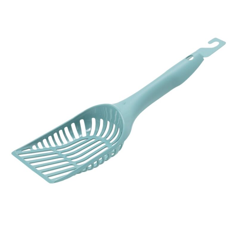 583885be-cfb0-11ef-9b2c-00505697ce7a_5411468256215