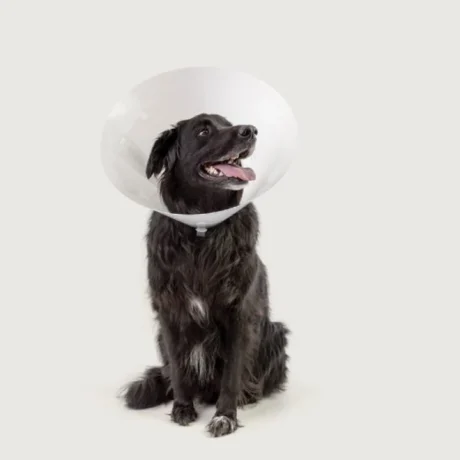 Betsy Κολλάρο Ελισσάβετ 12.5cm