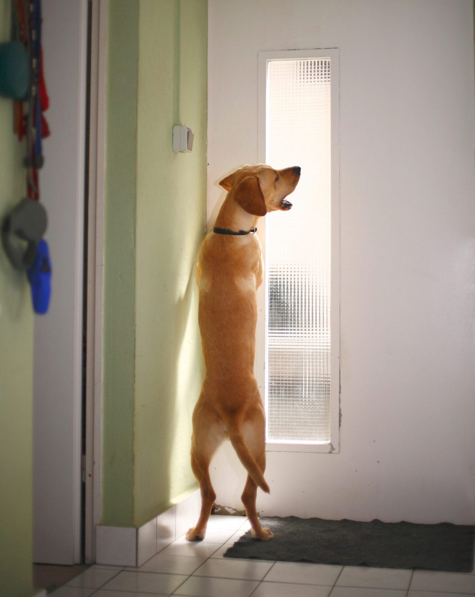 6Sc7Nwzrxsegyumraifwf7