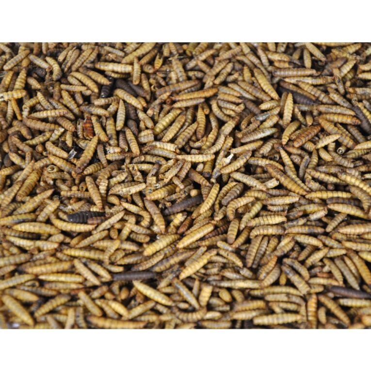 6ae0cd7a-1ed5-11ef-bafa-00505697ce7a_5411468916744.DET1