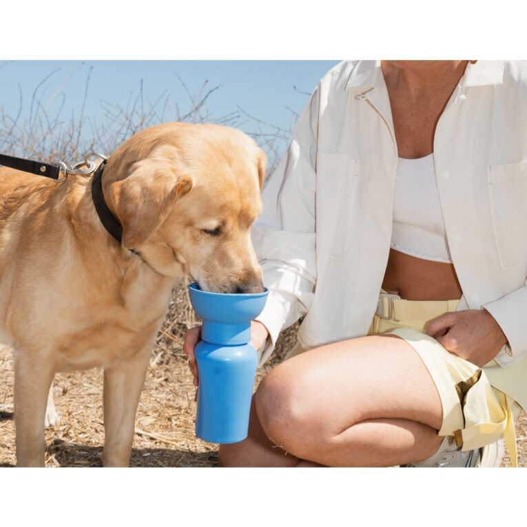 6daca614-3117-11f0-9a76-00505697ce7a_850030722898.SFR1