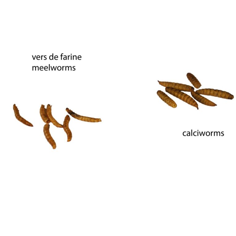 72050f08-1ed5-11ef-9c79-00505697ce7a_5411468916737.TEC3