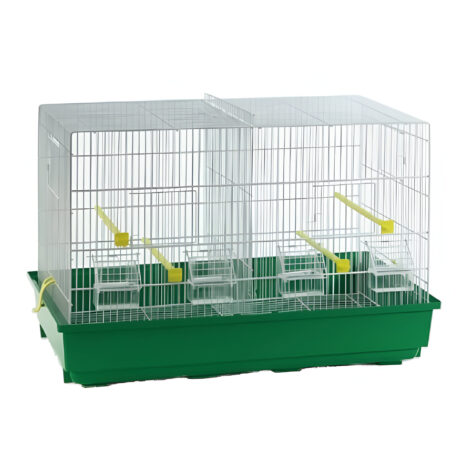 Domus Molinari Cova 3 Γίγας Κλουβί Ζευγαρώστρα Ωδικών Πτηνών Πράσινη με Λευκό Κάγκελο 67x34x44cm