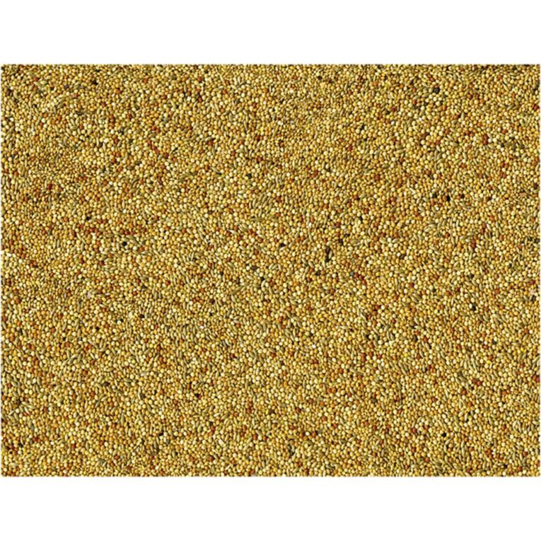 998d1032-7404-11ea-8866-00505697ce7a_5411468234268.DET1