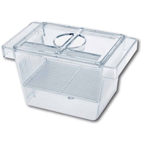 Amtra Breeding Box Small Κουτί Αναπαραγωγής 13.5x7.5x8cm