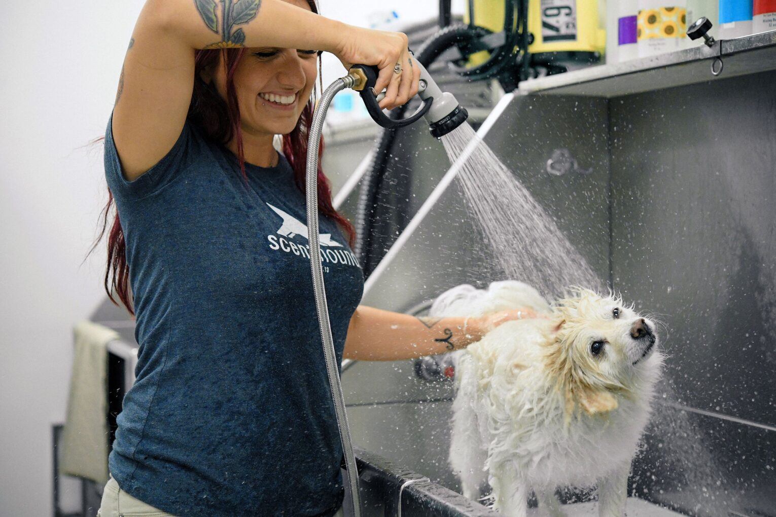 Corporatephotos 1673