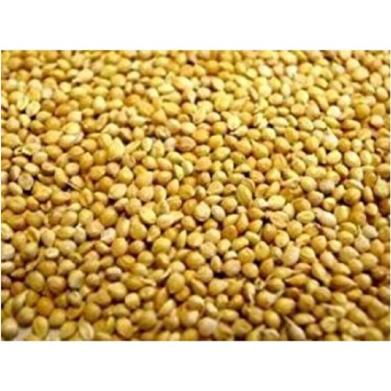 PANICUM (Πάνικο)1kg