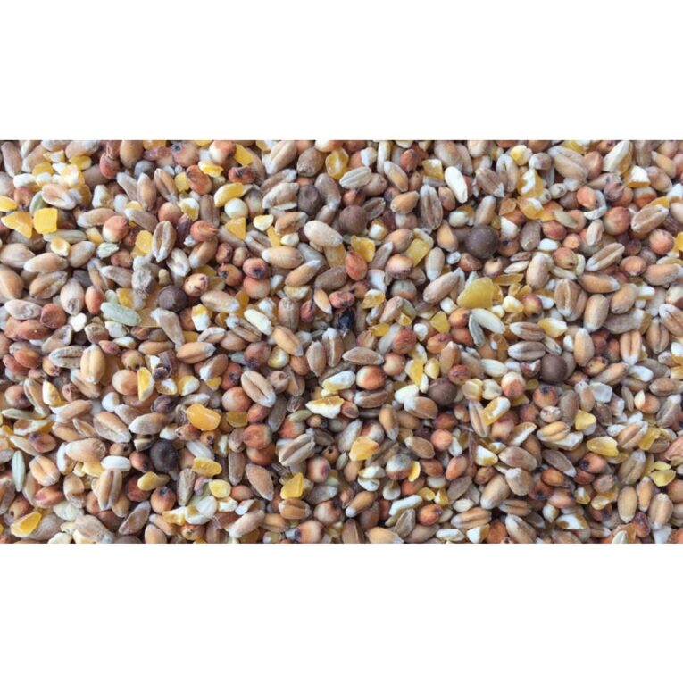 PETHELLAS_Τροφή για περιστέρια και διαμαντοπερίστερα 5kg (2)