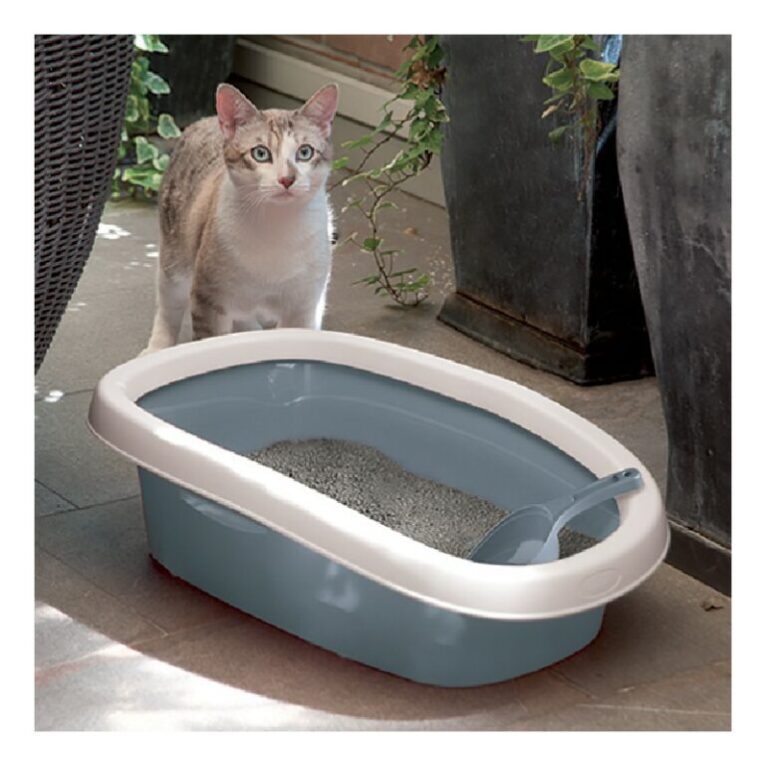 Sprint-20-ambientata600x600-768x768