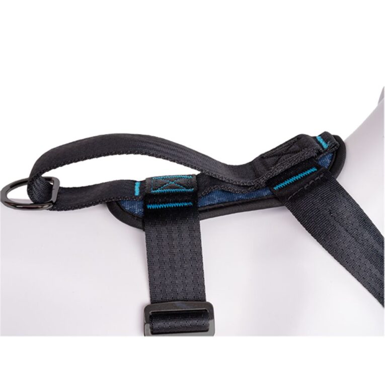 ad118b3a-5303-11ec-b938-00505697ce7a_886284290609.det1