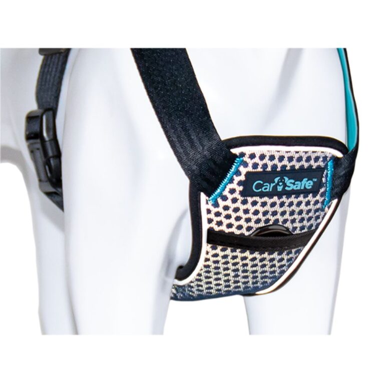 ad1b271c-5303-11ec-9d60-00505697ce7a_886284290609.det3