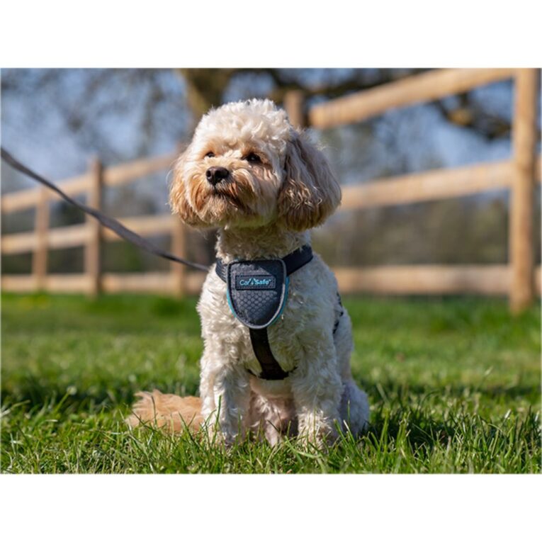 ada5568a-5303-11ec-9ebb-00505697ce7a_886284290210.sfr1