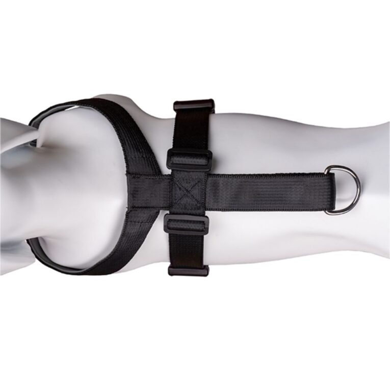 adda4b06-5303-11ec-b0d8-00505697ce7a_886284292214.det1