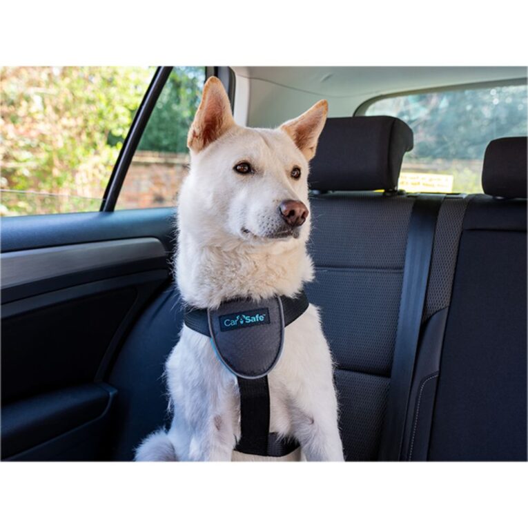 ade97b58-5303-11ec-85cf-00505697ce7a_886284292214.sfr1