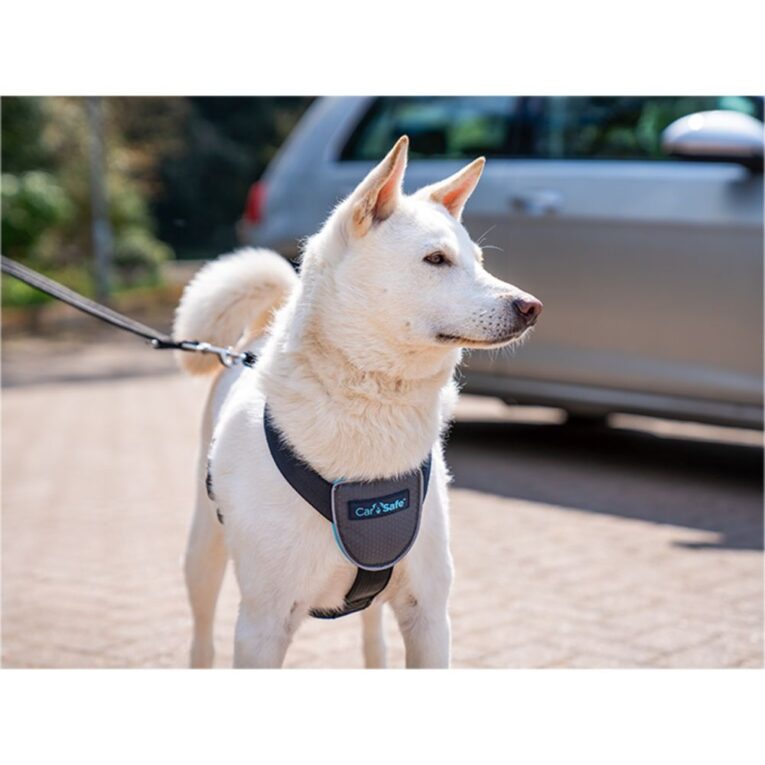 adee9da4-5303-11ec-b612-00505697ce7a_886284292214.sfr2