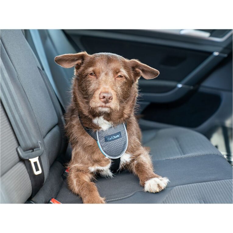 ae376746-5303-11ec-aebd-00505697ce7a_886284291217.sfr2