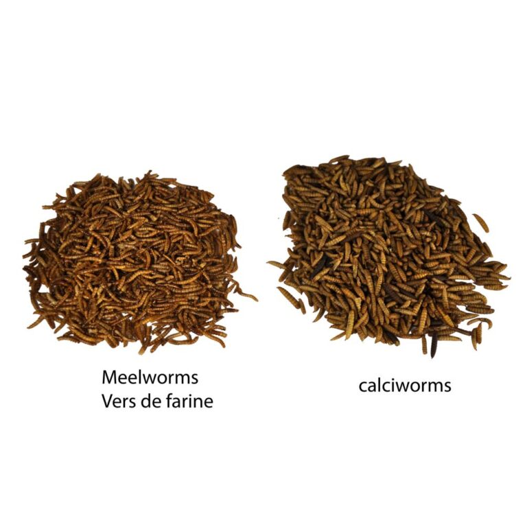 af543754-1d44-11ef-a2a1-00505697ce7a_5411468118391.TEC1