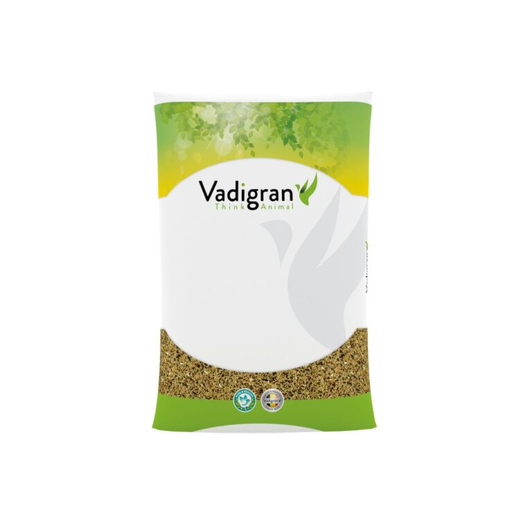 b331a7aa-7404-11ea-bb4e-00505697ce7a_5411468234411