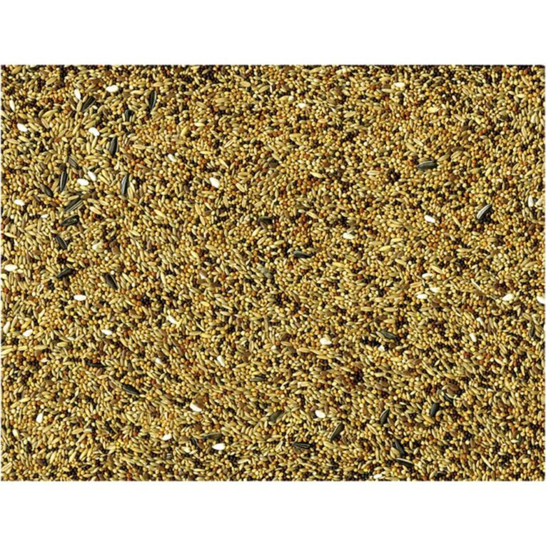 b3383804-7404-11ea-ac3f-00505697ce7a_5411468234411.DET1