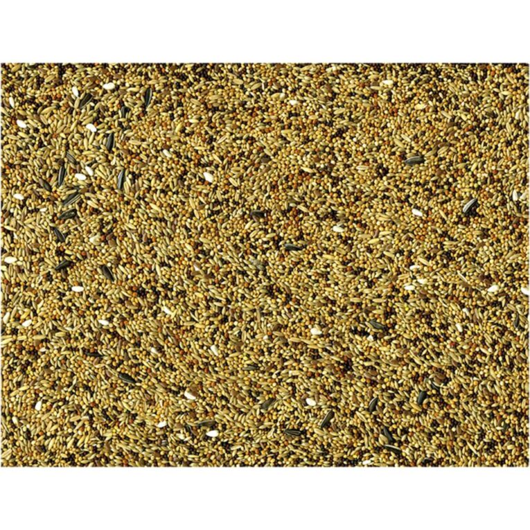 b44934c8-7404-11ea-abe3-00505697ce7a_5411468234428.DET1