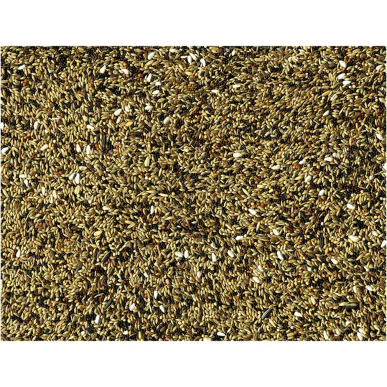 baa70a7a-7404-11ea-ab0e-00505697ce7a_5411468234336.DET1