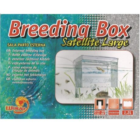 Wave Γεννήστρα Ψαριών