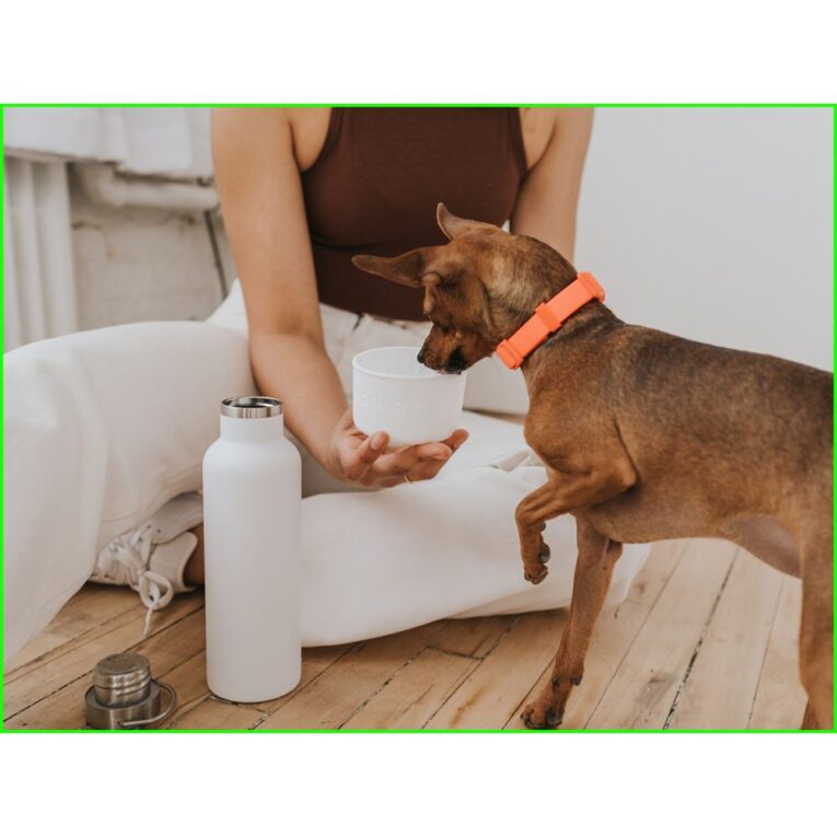 daa721f8-d502-11ee-b4a3-00505697ce7a_850030722508.SFR1