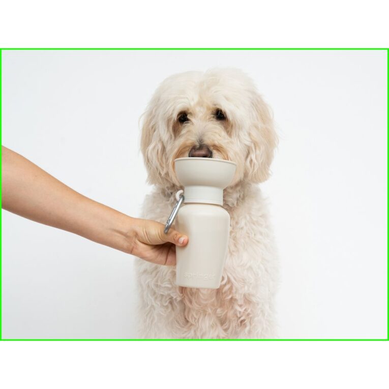 db8d0db2-d502-11ee-84dc-00505697ce7a_850030722683.SFR1