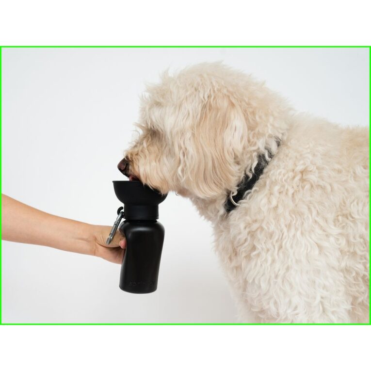 dbad6d32-d502-11ee-9272-00505697ce7a_850030722676.SFR1