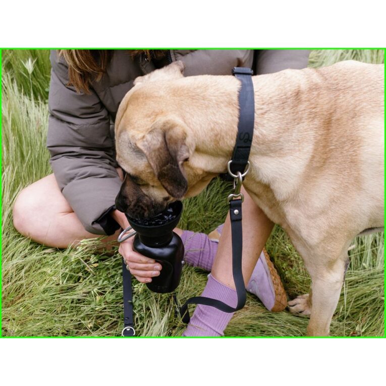 dbafa700-d502-11ee-be2d-00505697ce7a_850030722676.SFR2