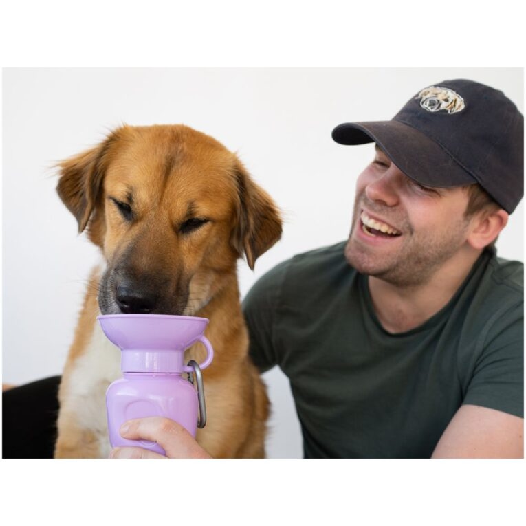 dc0c140e-d502-11ee-9819-00505697ce7a_850030722072.SFR1