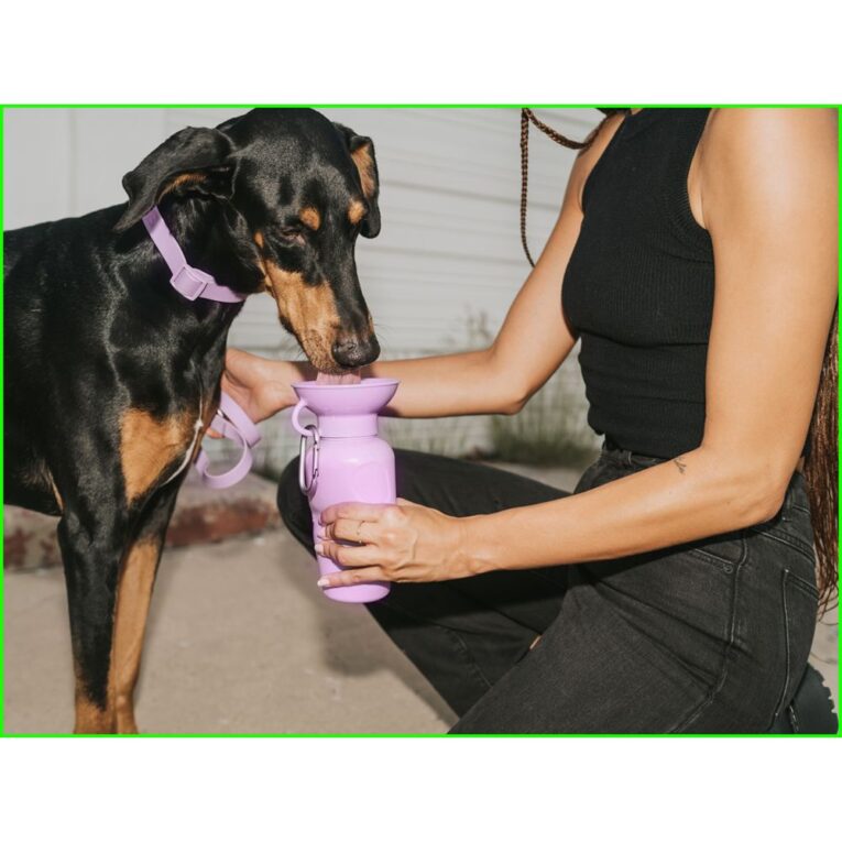 dc0e5ade-d502-11ee-9828-00505697ce7a_850030722072.SFR2