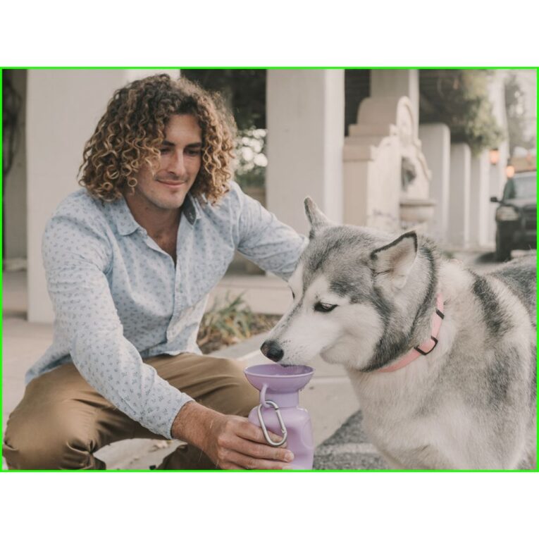 dc108cd2-d502-11ee-ab99-00505697ce7a_850030722072.SFR3