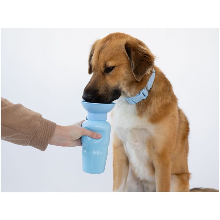 dc375dc6-d502-11ee-82f3-00505697ce7a_850030722058.SFR1