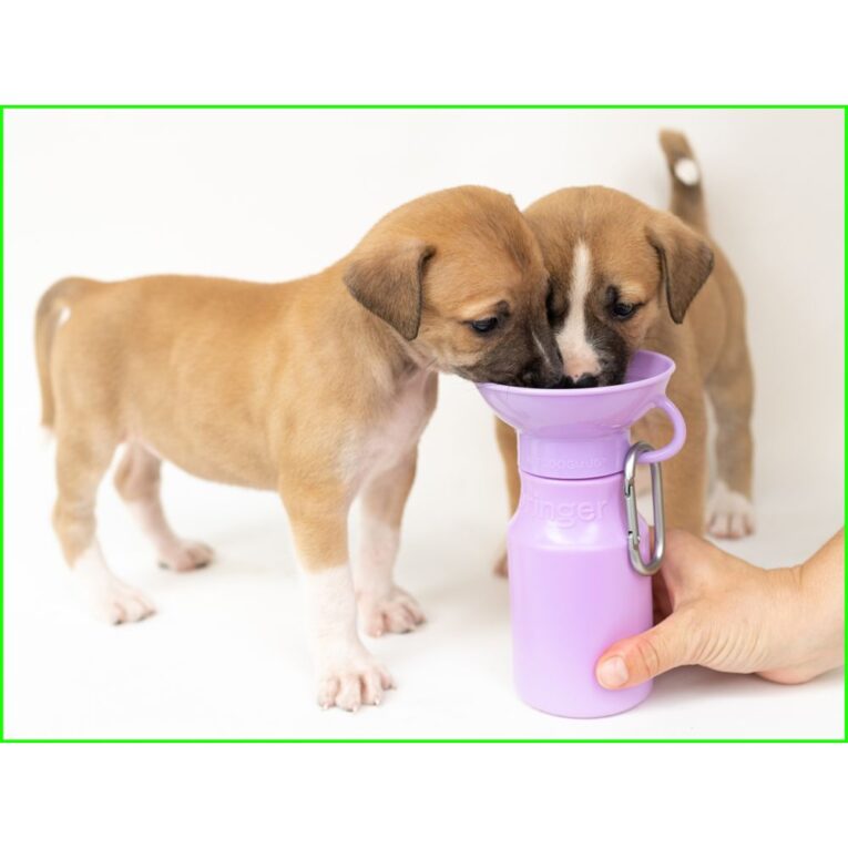 dce7b1e4-d502-11ee-a49b-00505697ce7a_850030722010.SFR1