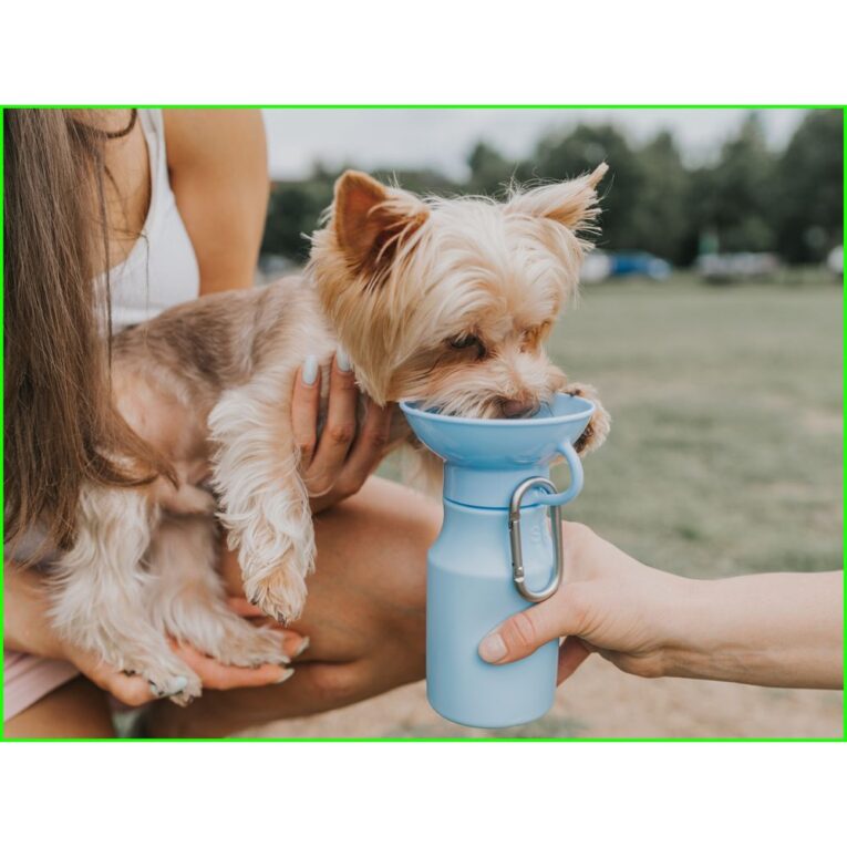 dd100b58-d502-11ee-a645-00505697ce7a_850030722003.SFR2