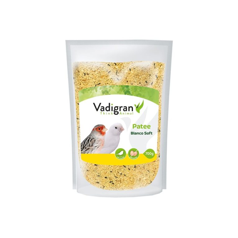 ef81e18c-7366-11ea-b219-00505697ce7a_5411468143508