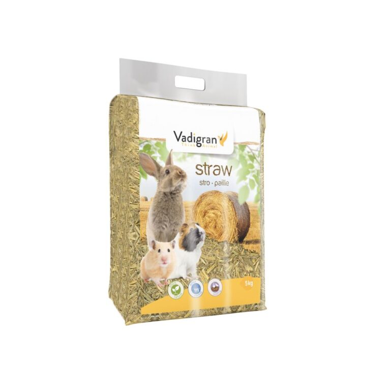 f4c8c8f8-7402-11ea-ba08-00505697ce7a_5411468058277